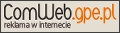 Projektowanie i Pozycjonowanie Stron Internetowych